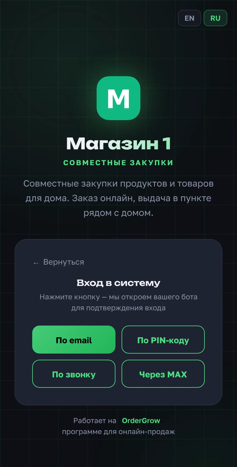 Экран «Вход в систему»: кнопки «По email», «По PIN-коду», «По звонку» и «Через MAX»